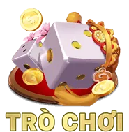 Hoàn trả tiền cược hàng tuần cho các hoạt động thể thao tại 55fit.
